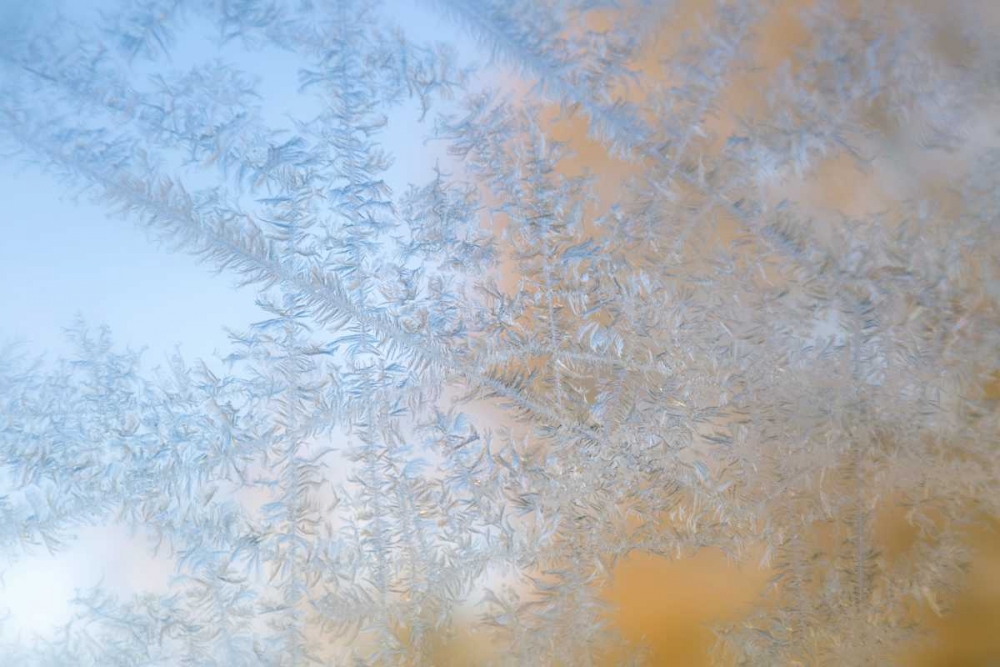 Wisconsin, Madison Frost patterns on glass